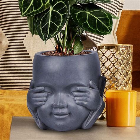 plant pots online australia